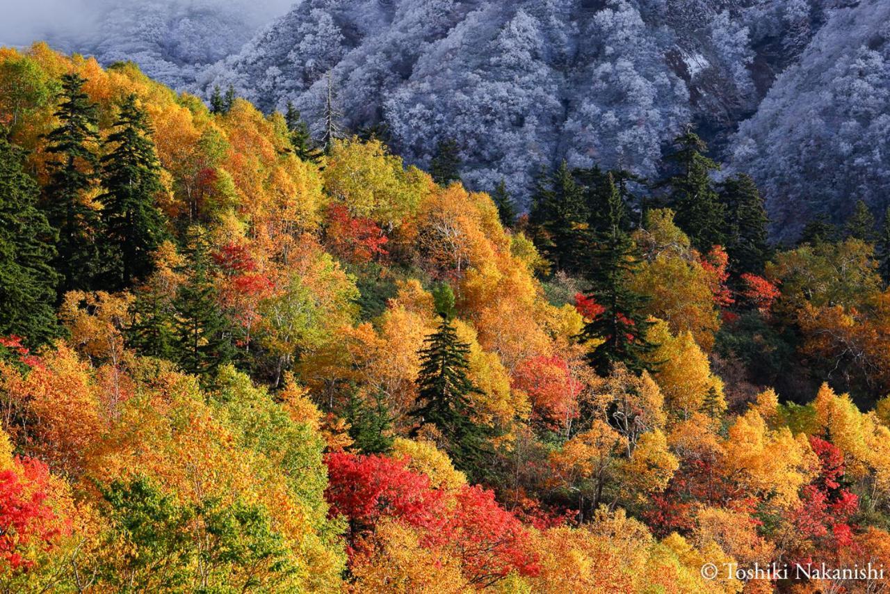 Nozo Hotel Furano Bagian luar foto