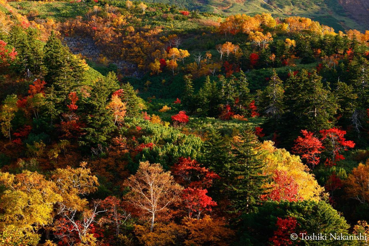 Nozo Hotel Furano Bagian luar foto